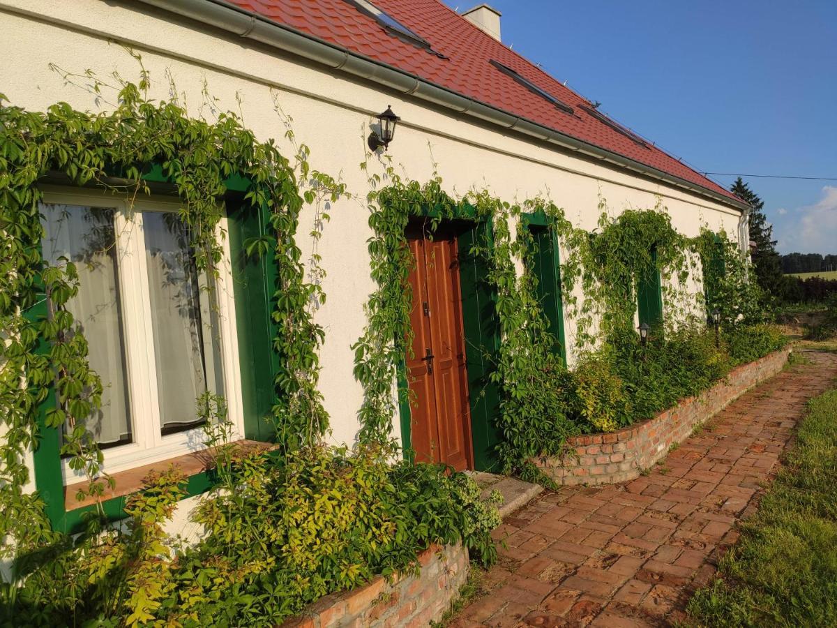 Srokowski Dwor 1 - Mazurski Dwor - 450M2 Srokowo Exteriér fotografie